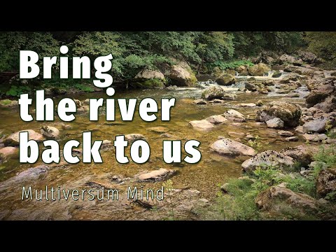 Multiversum Mind - Bring The River Back To Us